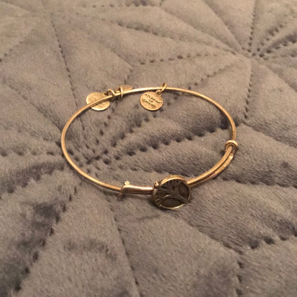Alex and Ani Bracelet